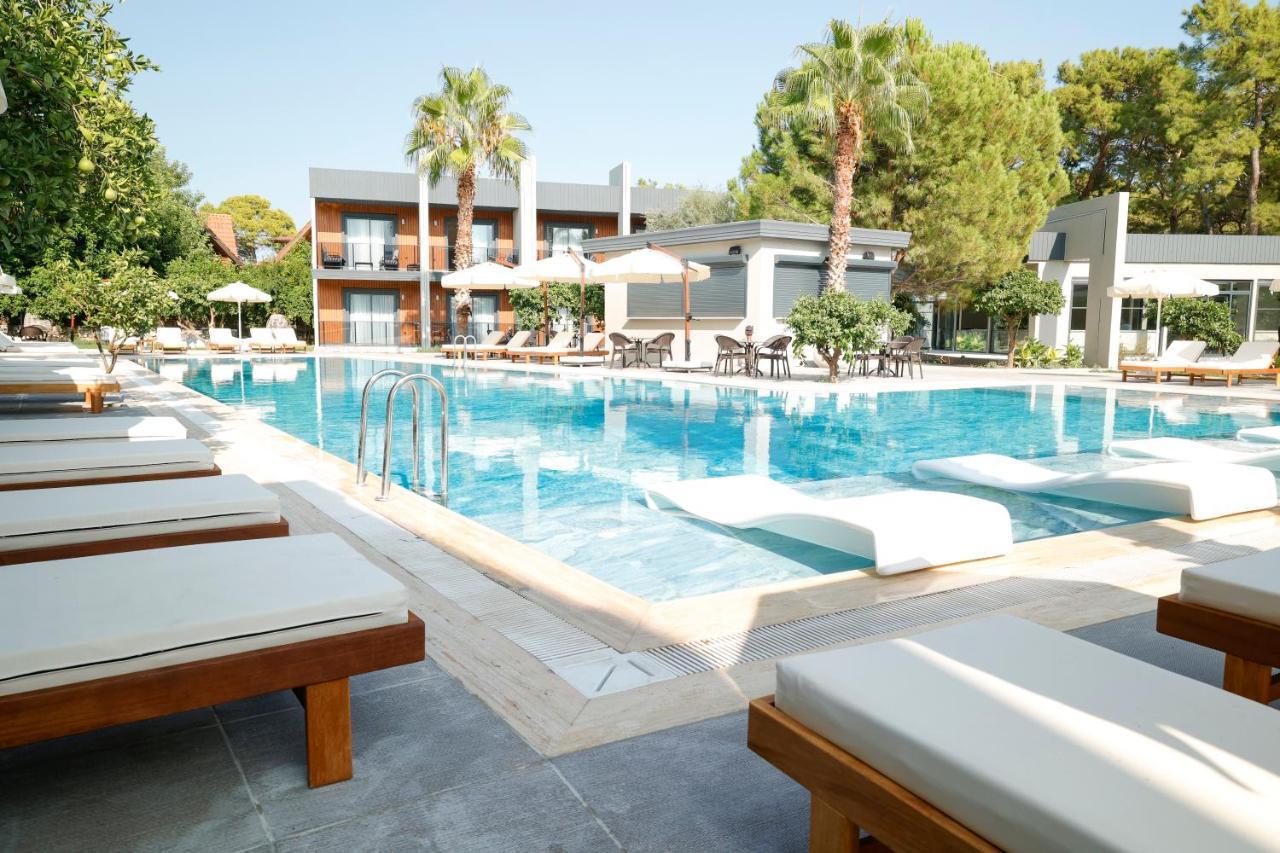 Forest In Hotel كمر المظهر الخارجي الصورة