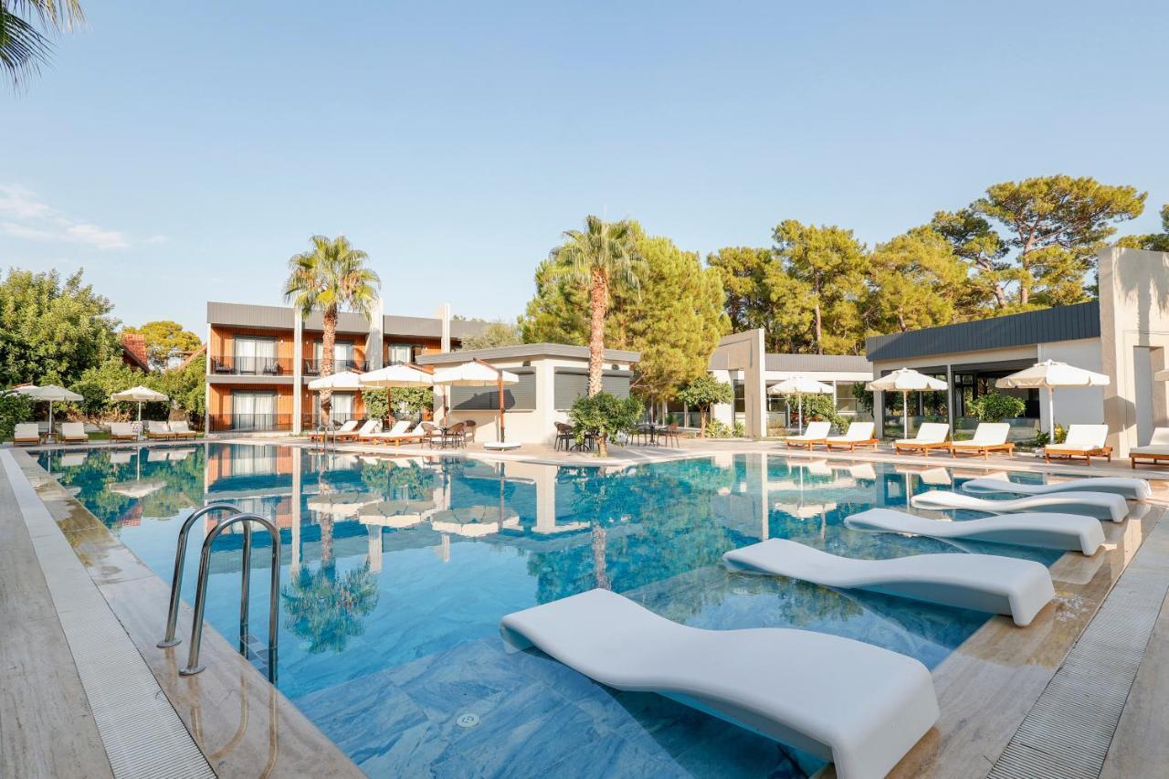 Forest In Hotel كمر المظهر الخارجي الصورة