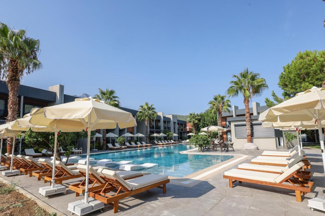 Forest In Hotel كمر المظهر الخارجي الصورة