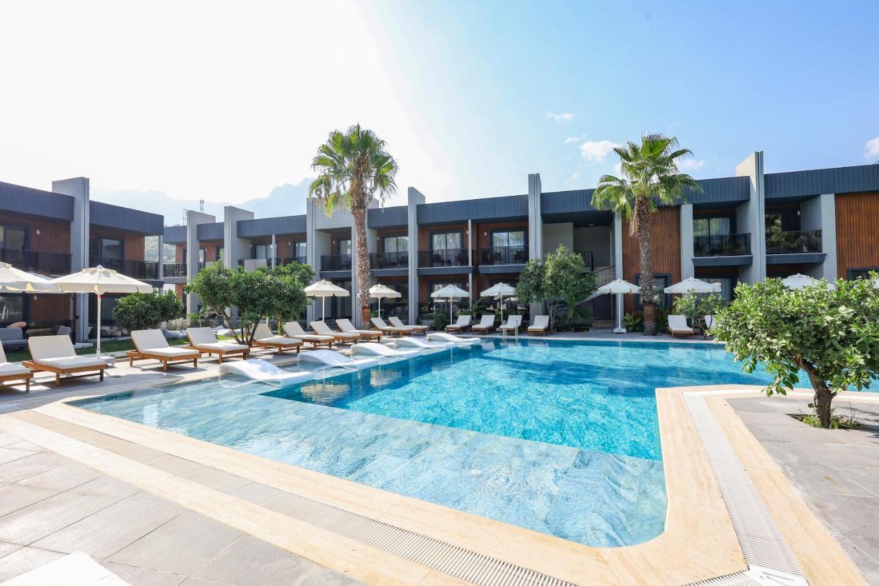 Forest In Hotel كمر المظهر الخارجي الصورة
