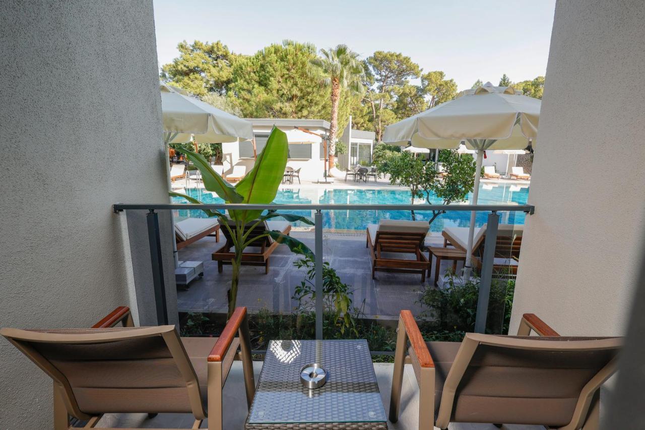 Forest In Hotel كمر المظهر الخارجي الصورة