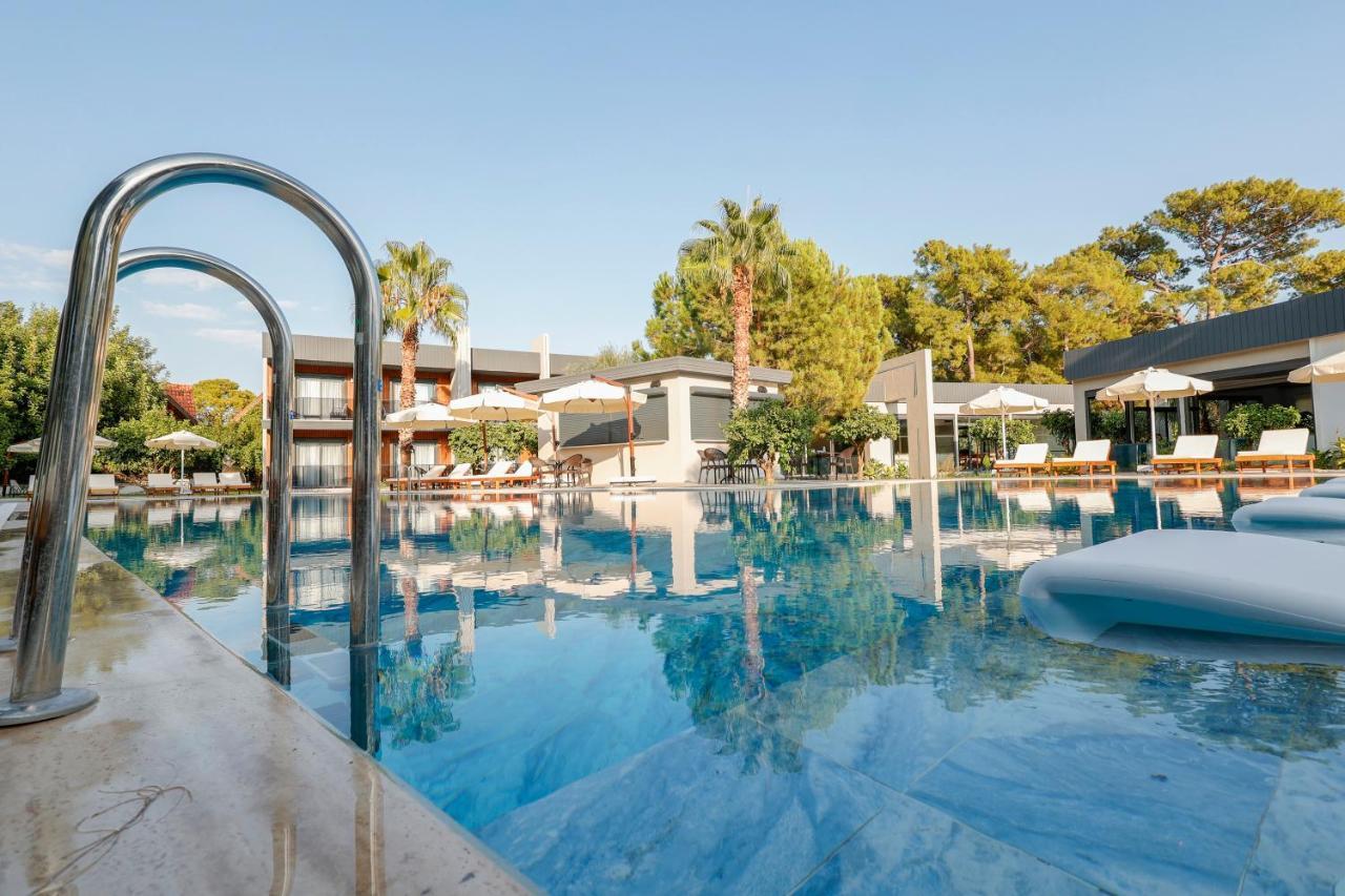 Forest In Hotel كمر المظهر الخارجي الصورة