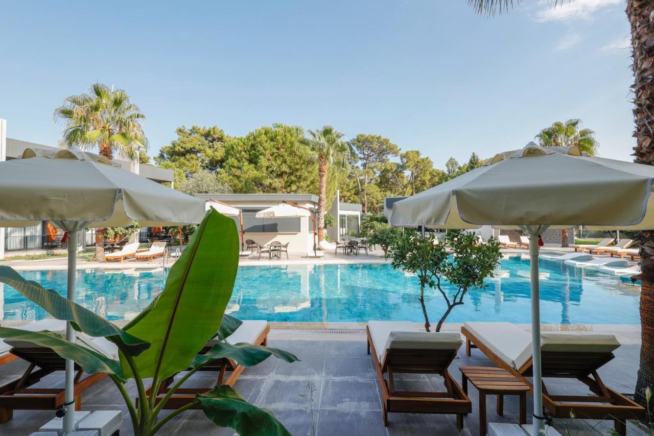 Forest In Hotel كمر المظهر الخارجي الصورة