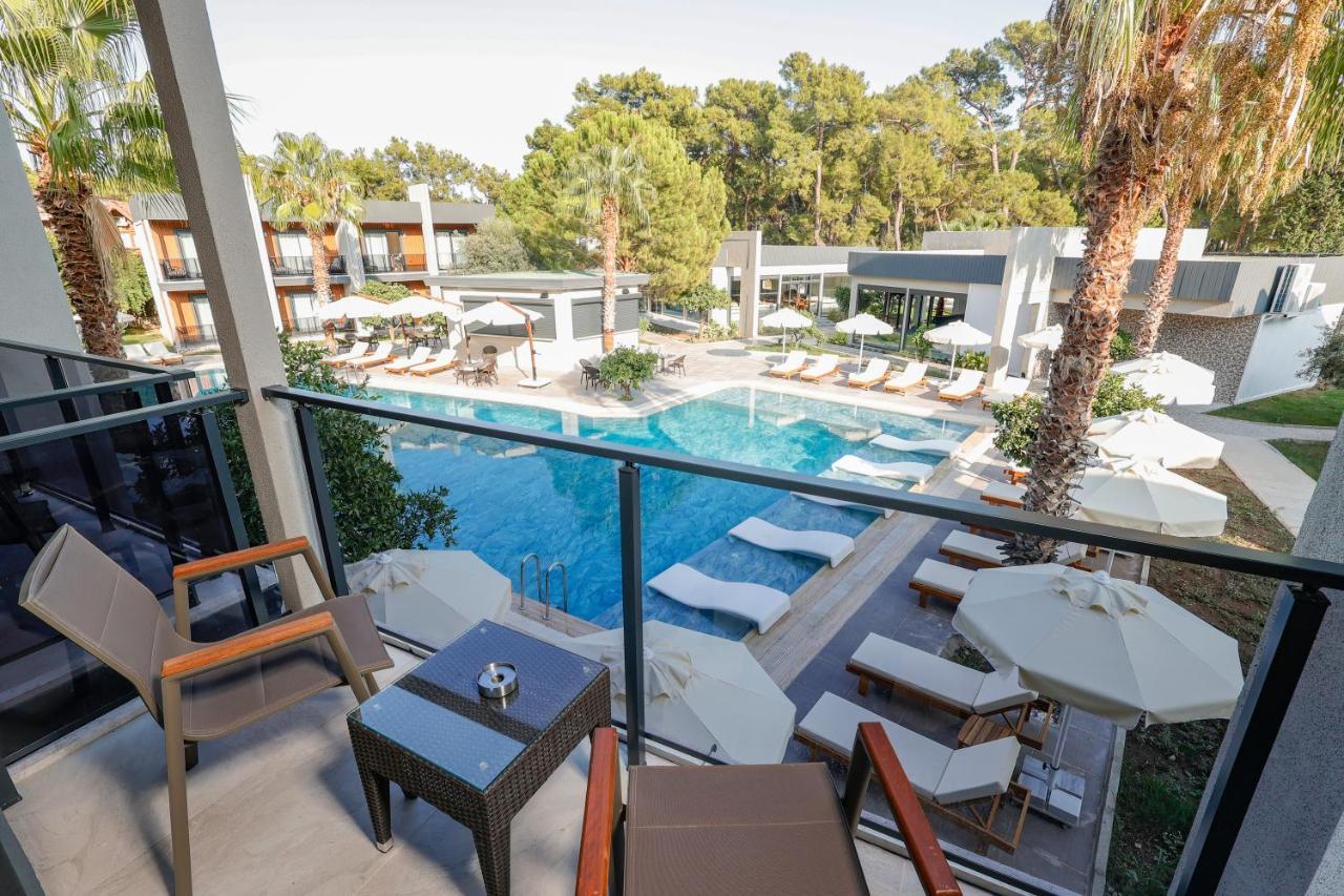 Forest In Hotel كمر المظهر الخارجي الصورة
