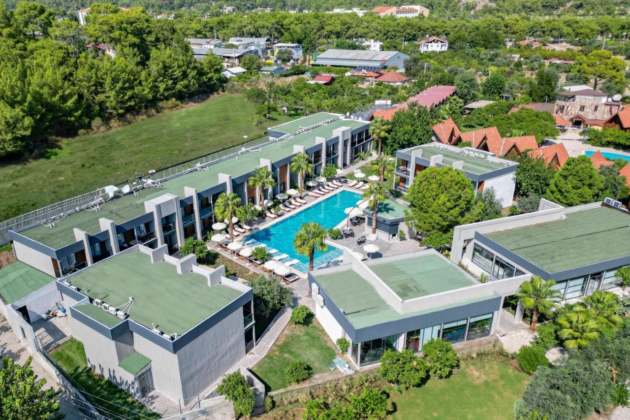 Forest In Hotel كمر المظهر الخارجي الصورة