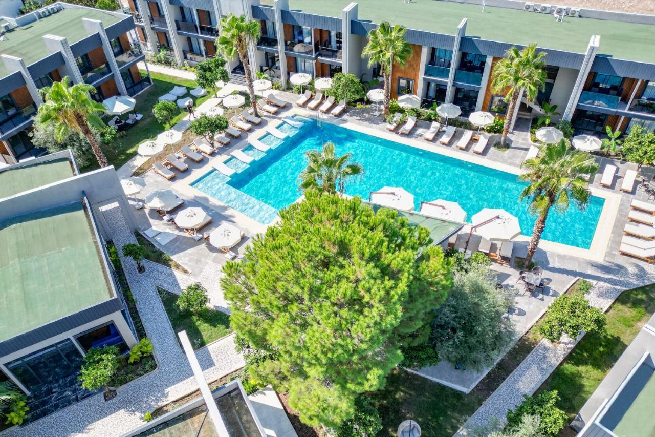 Forest In Hotel كمر المظهر الخارجي الصورة