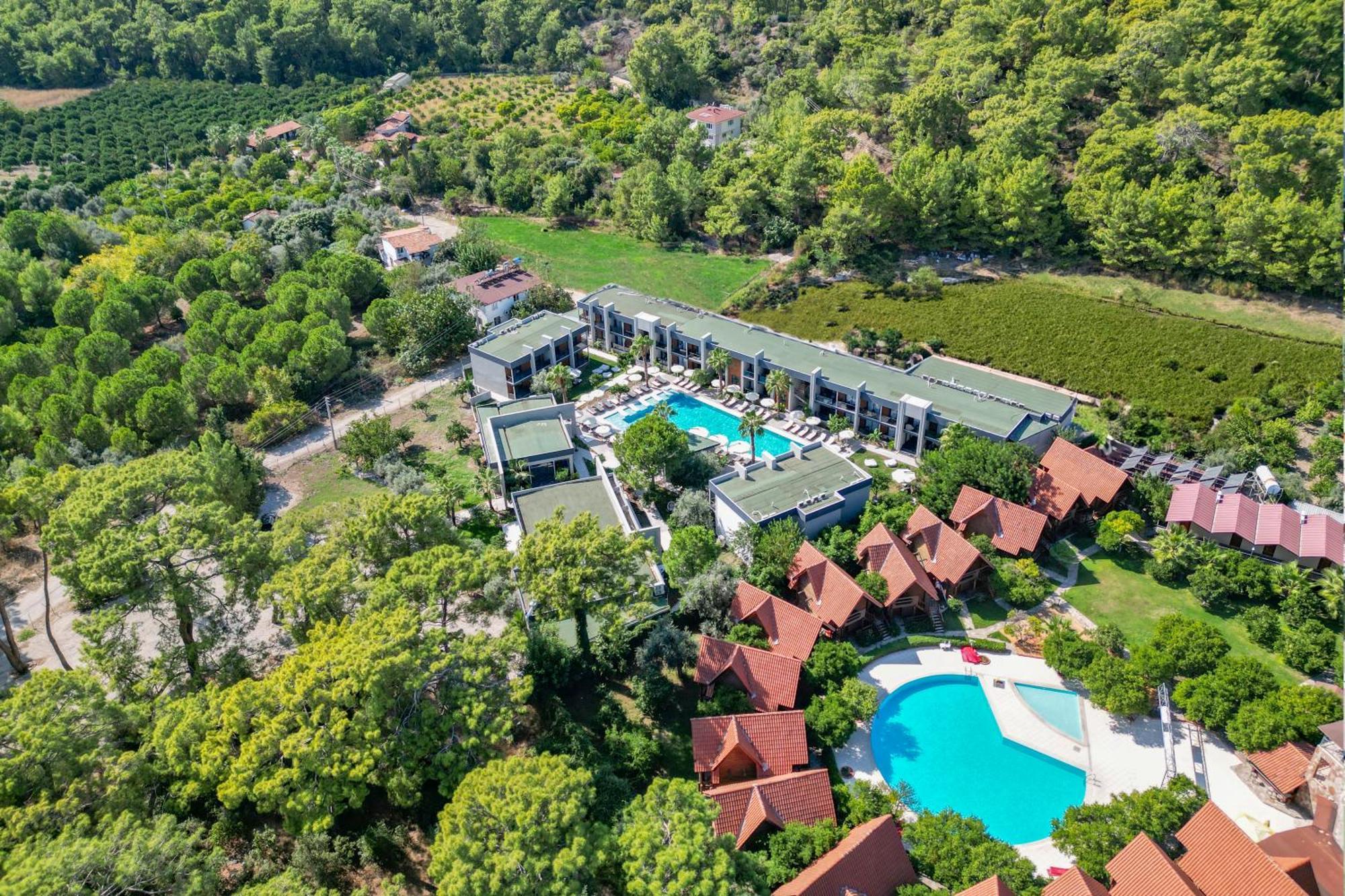 Forest In Hotel كمر المظهر الخارجي الصورة